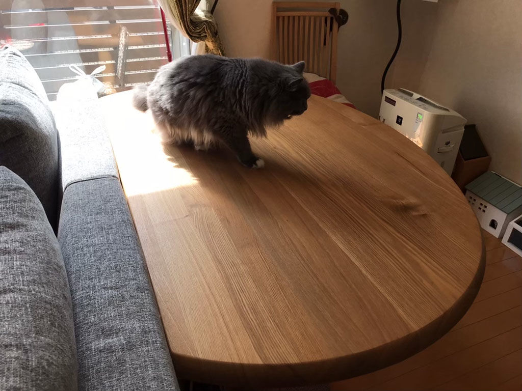 猫ちゃんもお気に入りの無垢オークのダイニングテーブル