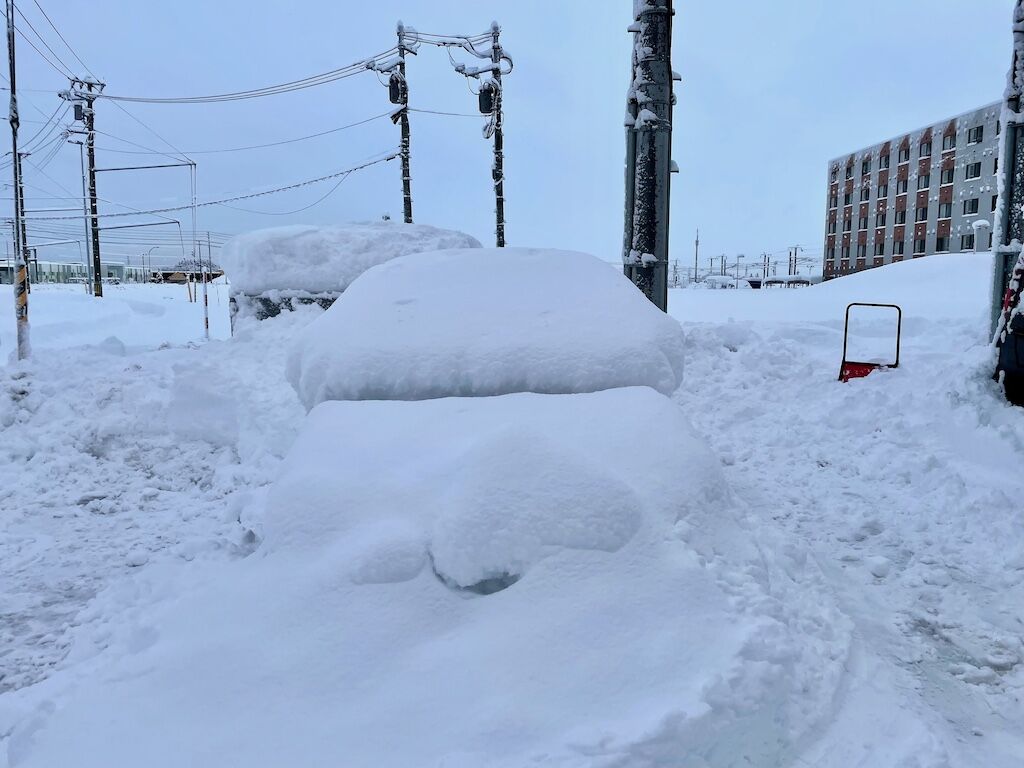 雪に埋まった車