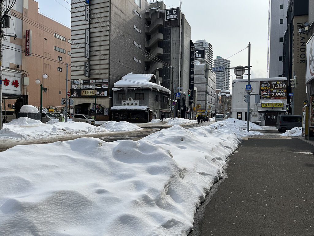北海道での雪の様子