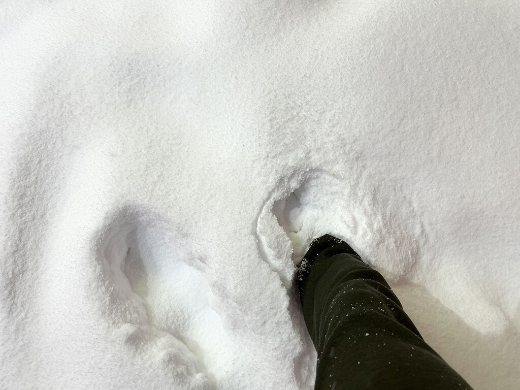足がズッポリ埋まるほどの大雪