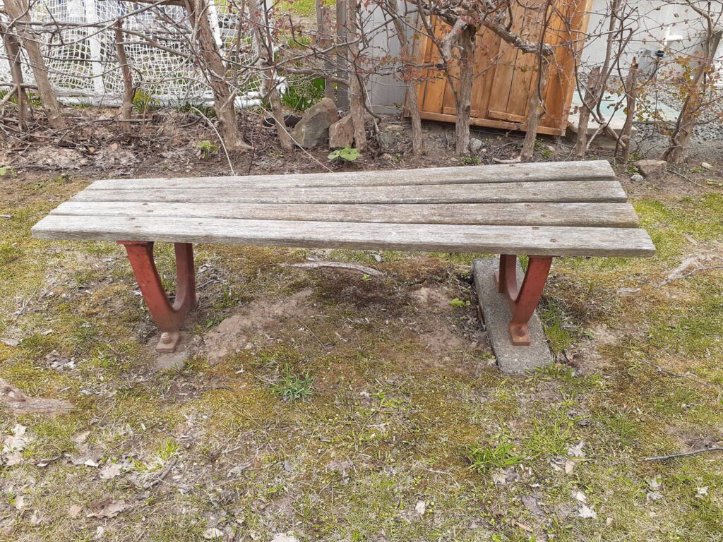 春の公園のベンチ