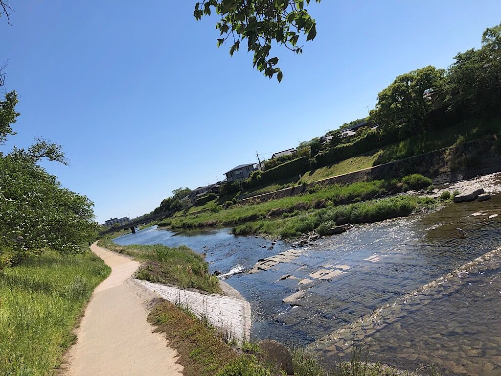 京都の鴨川散歩風景