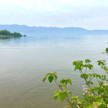 琵琶湖の朝の風景