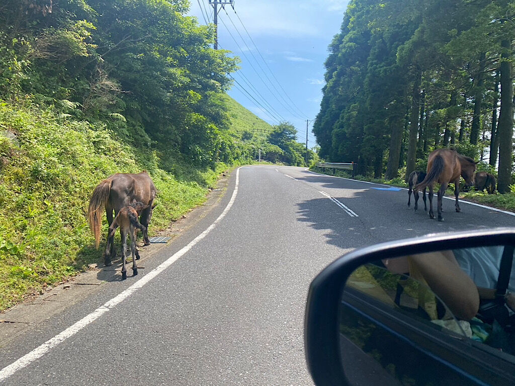 都井岬