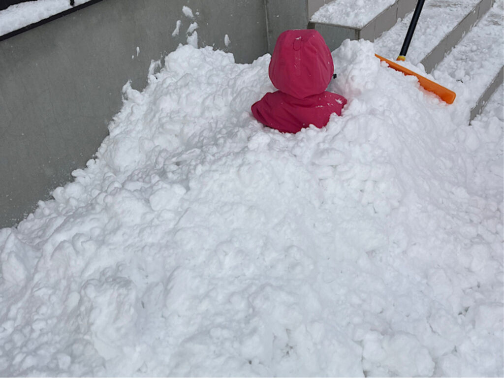 雪に埋まる