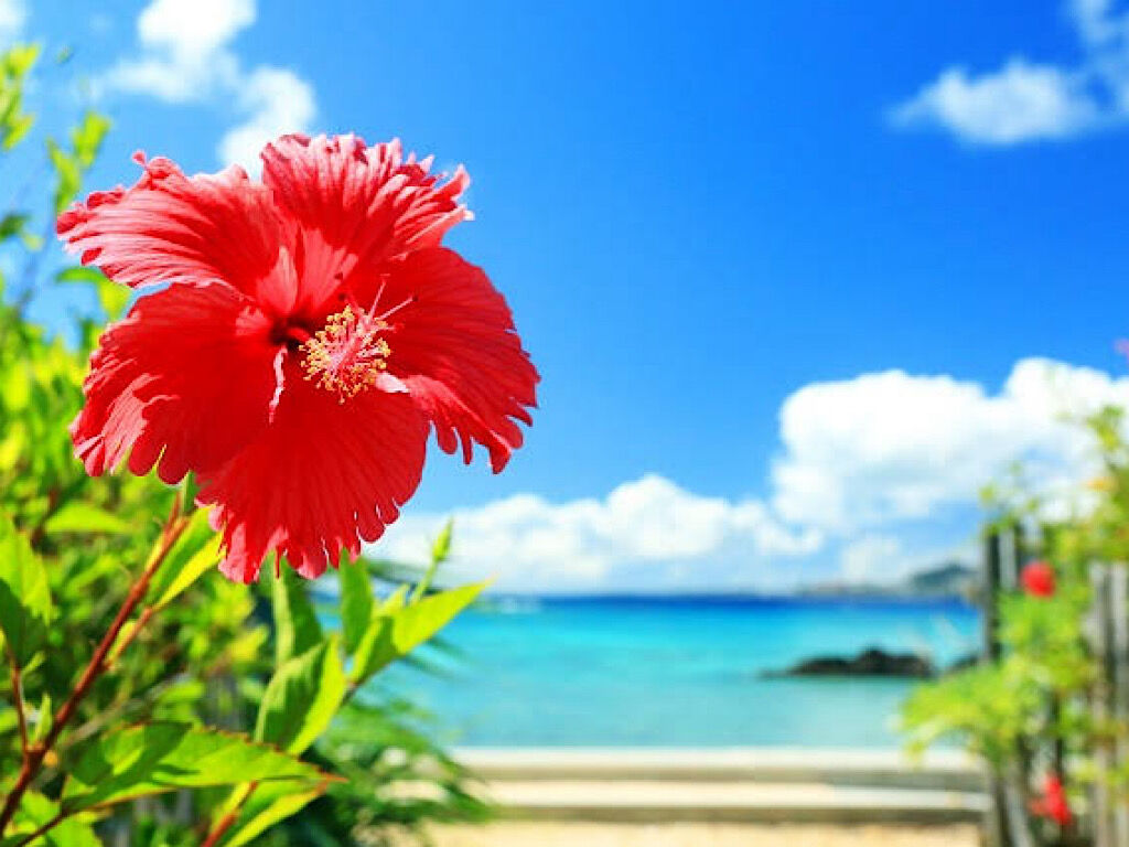沖縄