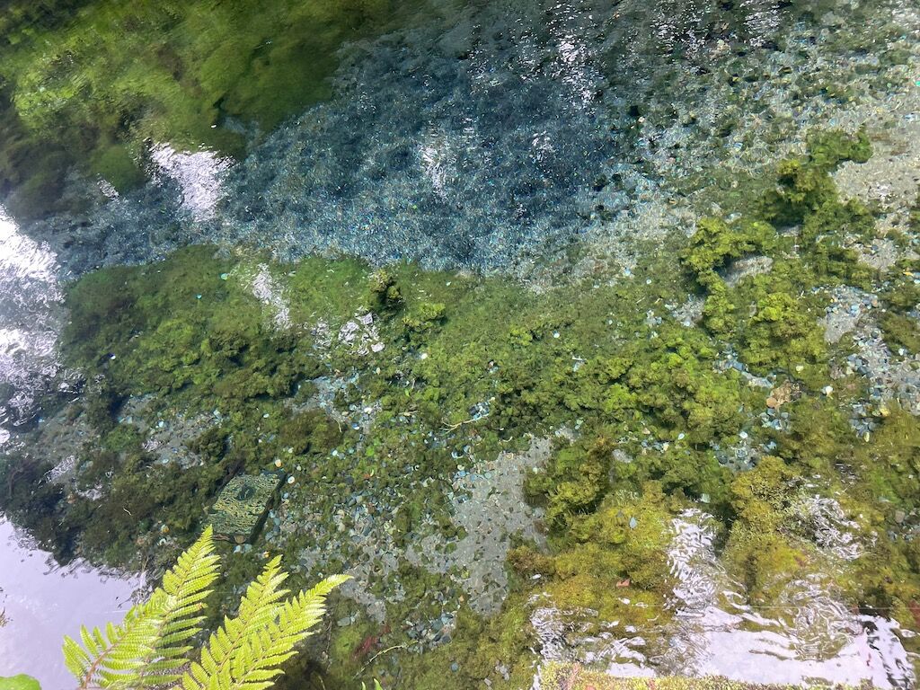 水源