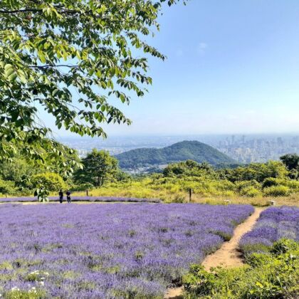 札幌の街並み