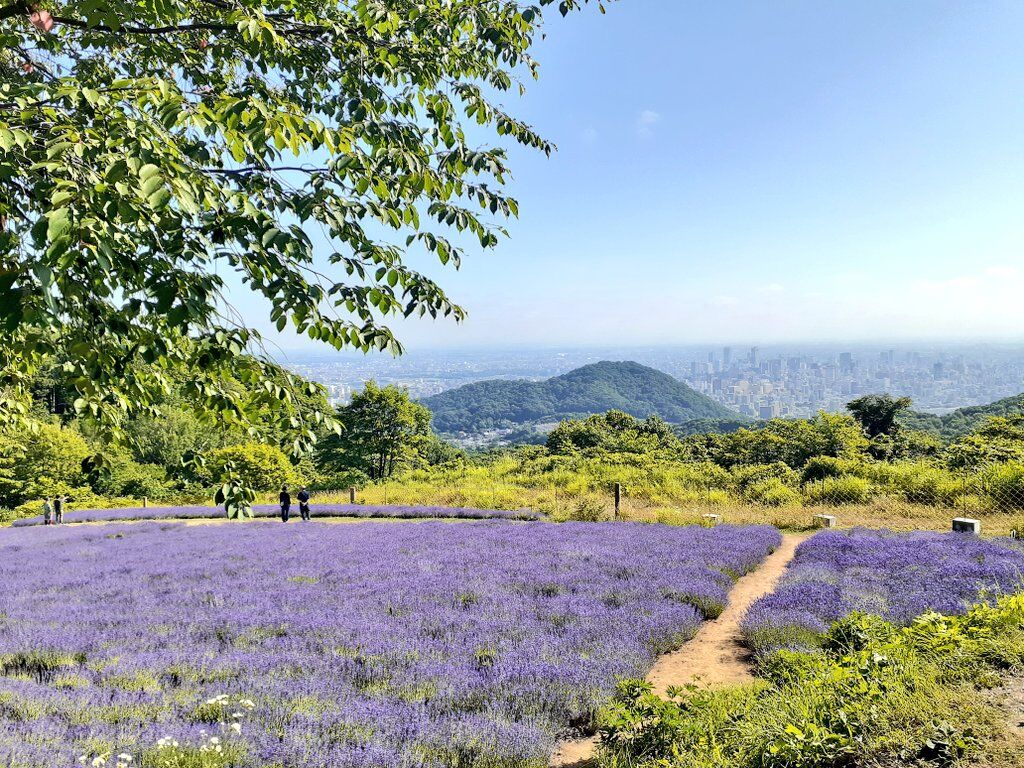 札幌の街並み