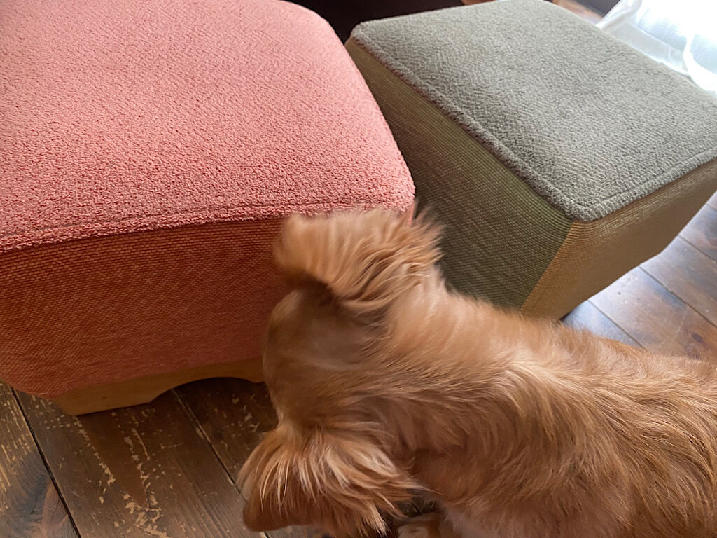モンペスツール
