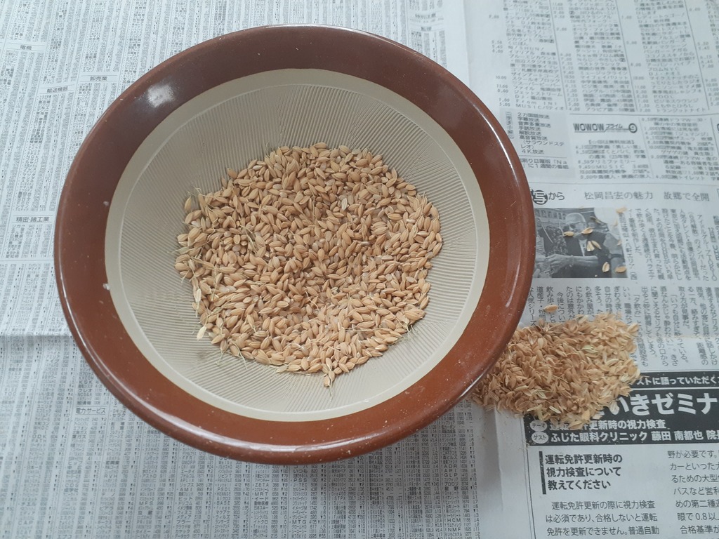 もみを分別する