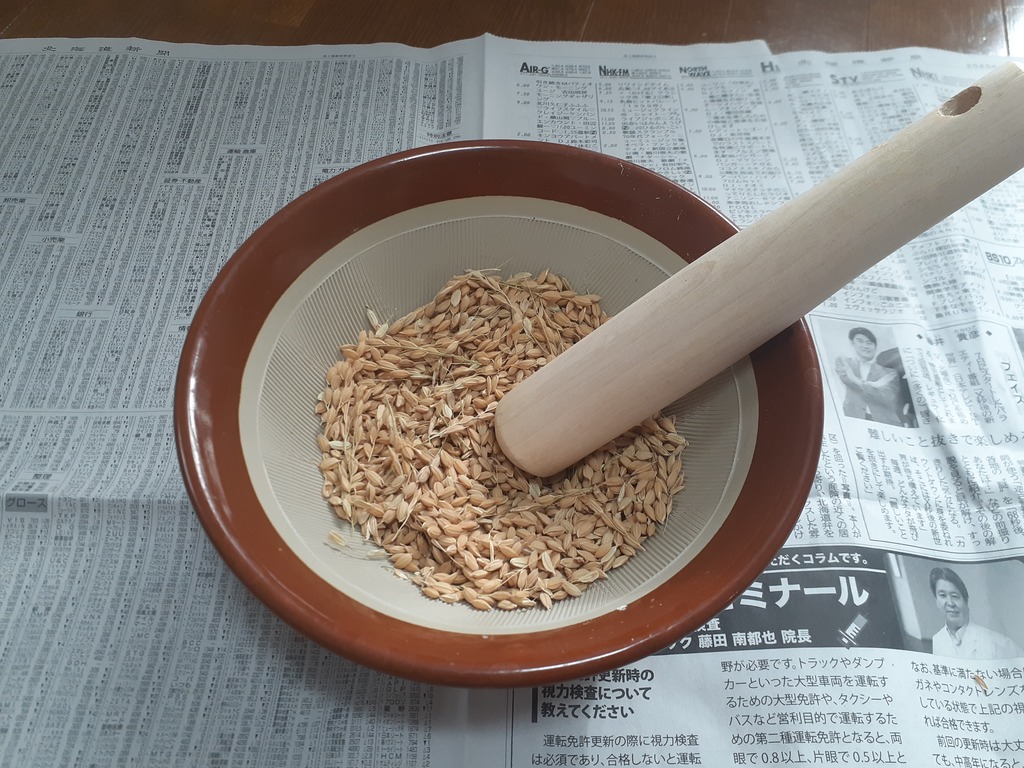 お米にするまでってこんなに大変！？みずの家のちいさな秋しごと