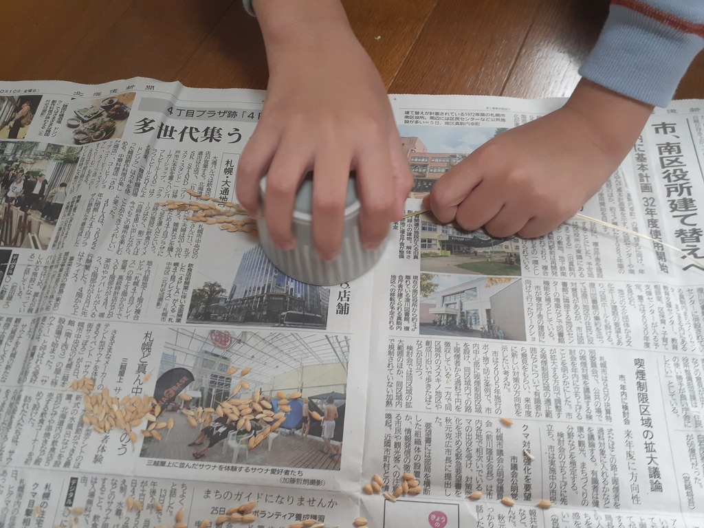 稲穂を脱穀する