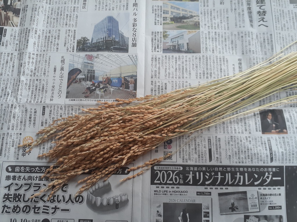 みずの宅の稲穂
