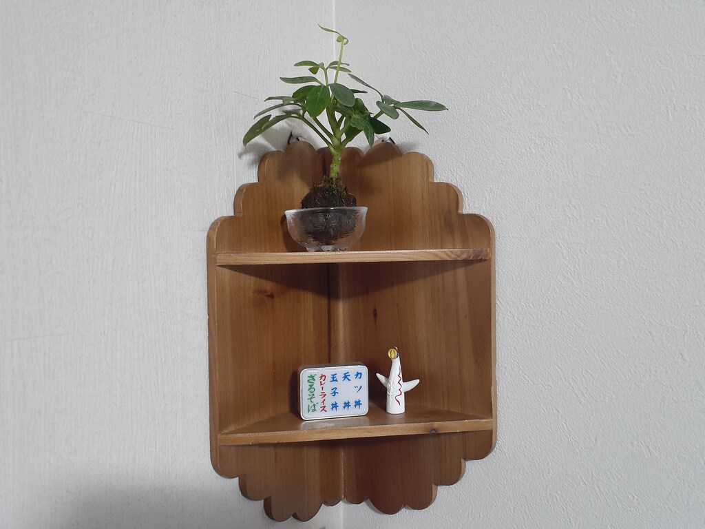 新しいことを始めたくなる春、「暮らしを楽しむ」時間をつくりませんか?