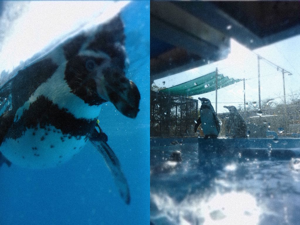 水族館