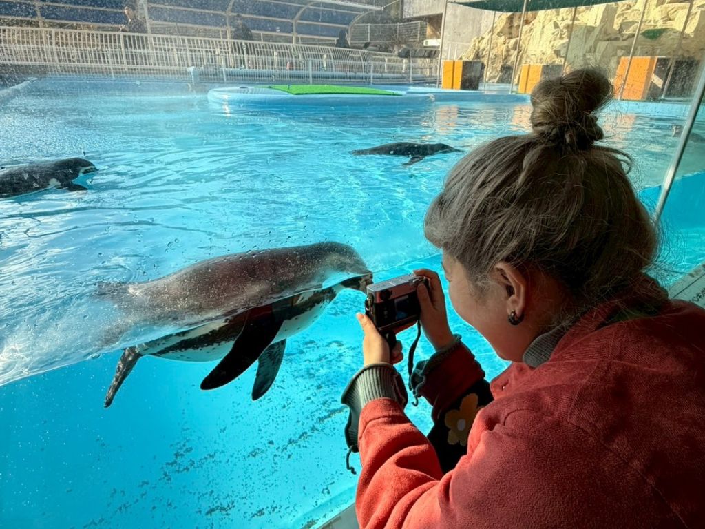 カレンin水族館