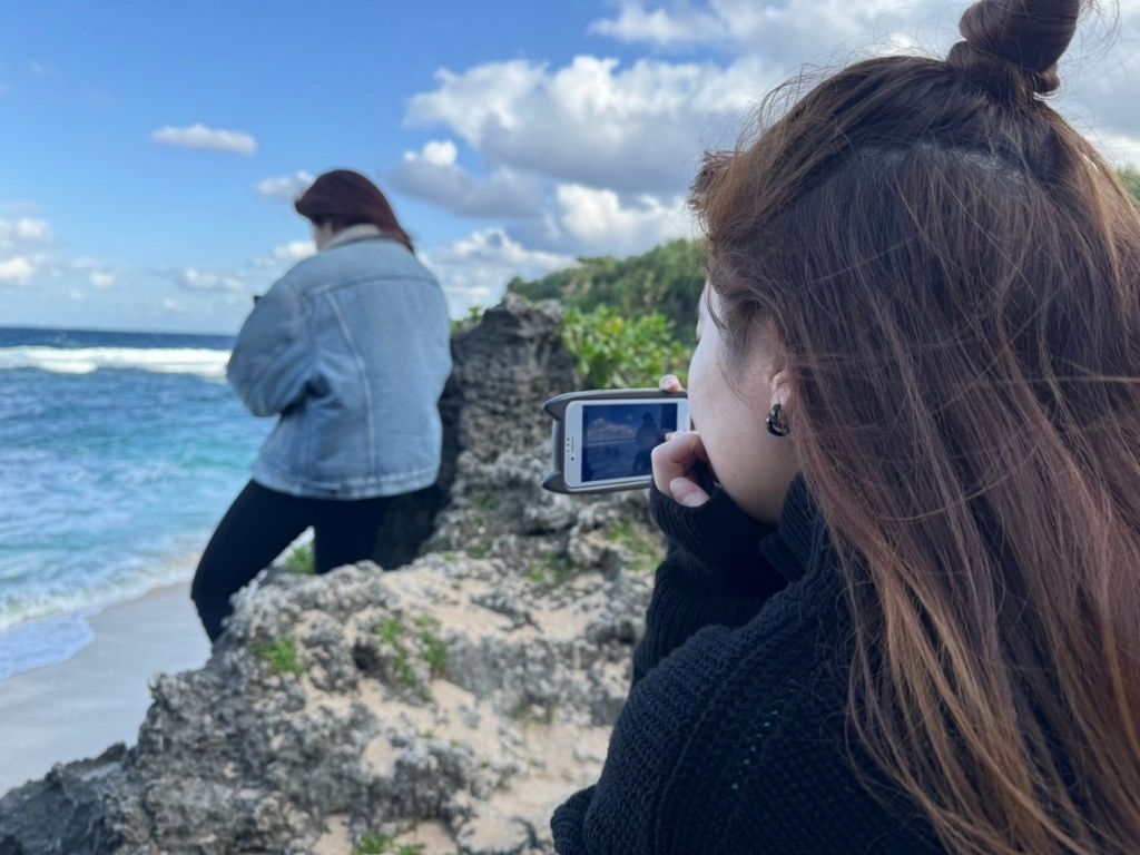 海